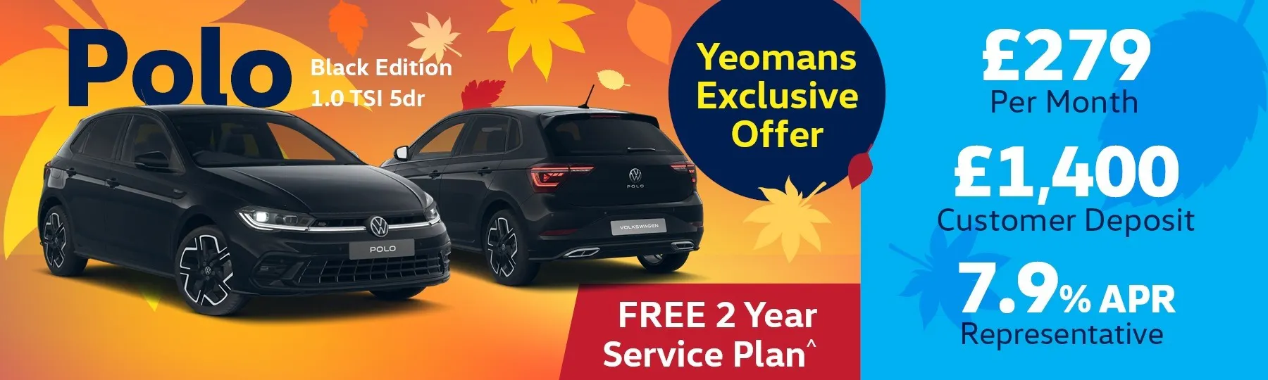 volkswagen Polo New Car Offer
