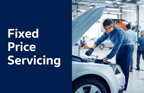 Fixed Price Servicing - Cars Over 3 Years Old