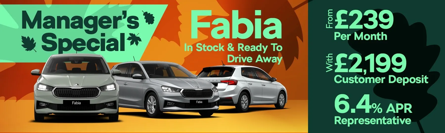 Škoda Fabia New Car Offer