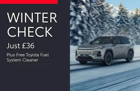 Winter Check